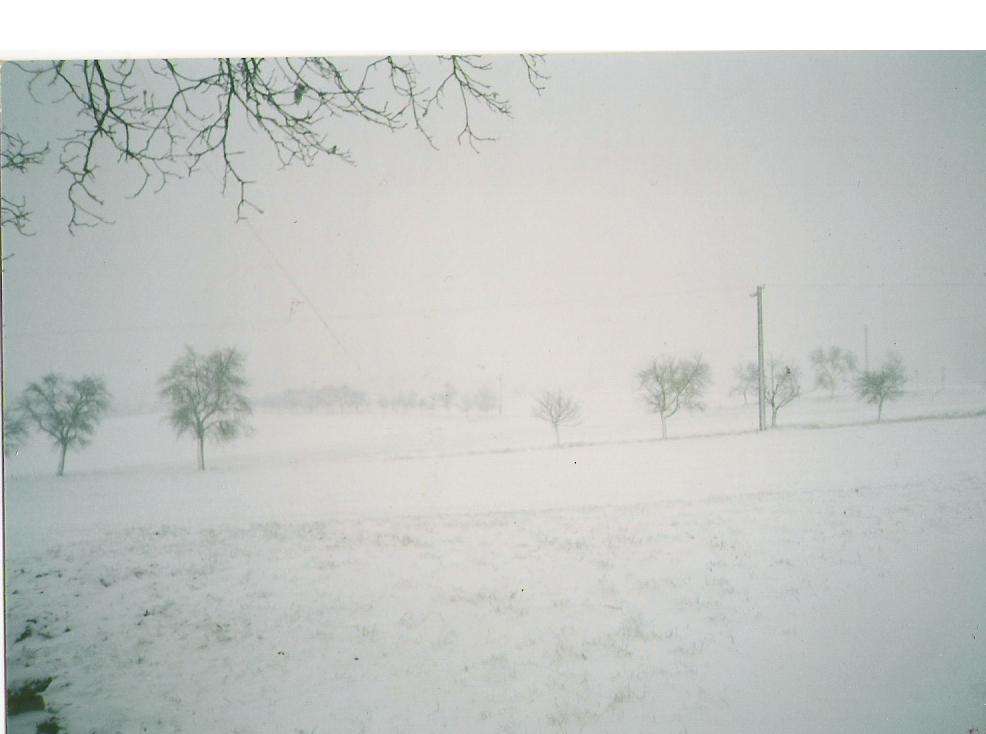zima-2003